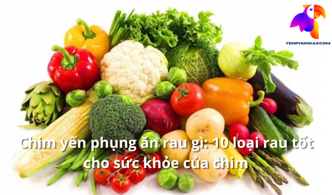 Chim yến phụng ăn rau gì: 10 loại rau tốt cho sức khỏe của chim